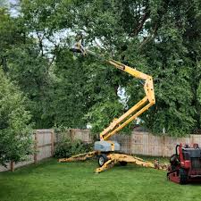 Artificial Turf Installation in Otisville, NY