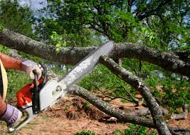 Leaf Removal in Otisville, NY