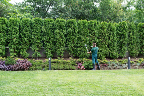 Best Tree Risk Assessment  in Otisville, NY